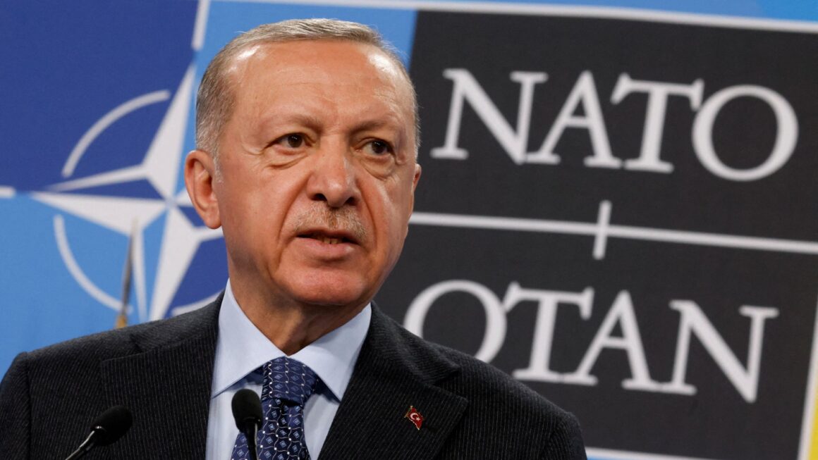 Τουρκία: Αναστέλλει την Συνθήκη CFE